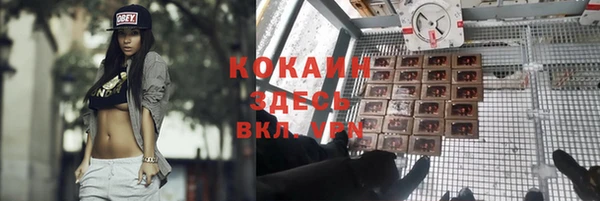 mdpv Магадан