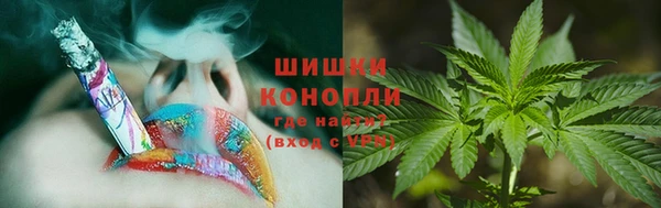 прущие грибы Майский