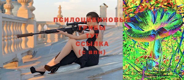 прущие грибы Майский
