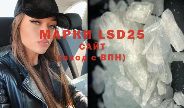 прущие грибы Майский