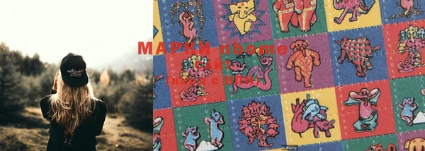прущие грибы Майский