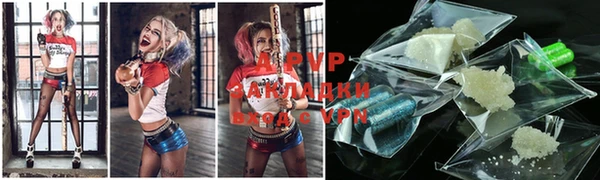 прущие грибы Майский
