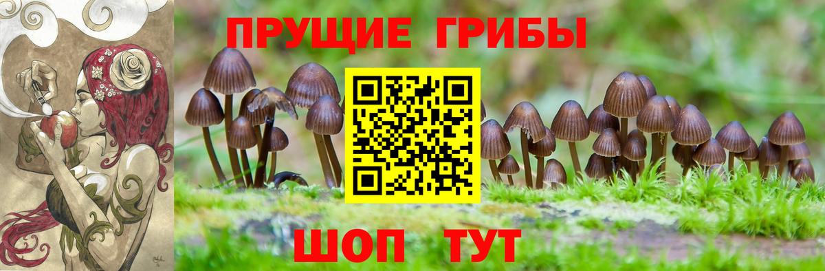 Псилоцибиновые грибы MAGIC MUSHROOMS Мариинск