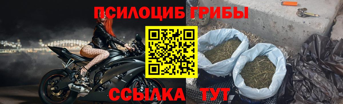 Псилоцибиновые грибы ЛСД  Вход с VPN  Галлюциногенные грибы мухоморы  Мариинск 